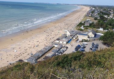 Tocht Stappen Carolles - Carolle-plage--Cabane Vauban - Photo