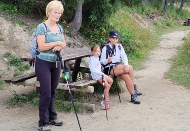 Tocht Stappen Montricher-Albanne - les Karellis- la Plagne- lac de Pramol - Photo