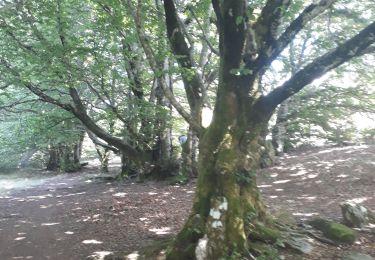 Percorso Marcia Fraisse-sur-Agout - lac de Vezoles - Photo