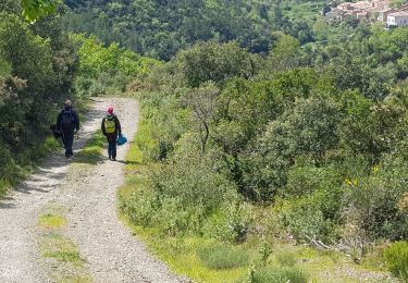 Trail Walking Maisons - 11-Maisons-Mont Tauch-5-05-2019 - Photo
