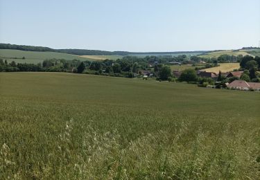 Trail Walking Chennegy - Randonnée Bucey - Photo