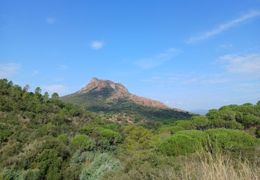 Tour Wandern Roquebrune-sur-Argens - Circuit de l'eau Les Cavalières, La Maurette - Photo