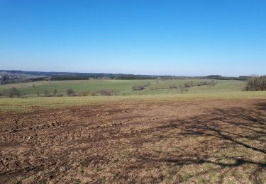 Tocht Stappen Gouvy - Sterpigny - Photo