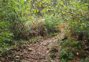 Tocht Stappen Cros - Pont du diable 3 - Photo