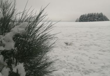 Randonnée Marche Malmedy - beau veau  - Photo