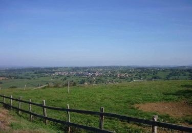 Excursión Bici de montaña Saint-Pierre-la-Noaille - Balade en Brionnais - Photo