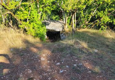 Tocht Stappen Varaire - 9 - Varaire : les dolmens - Photo