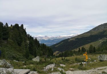 Percorso Marcia Anniviers - weisshorn - Photo