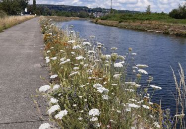 Excursión Bici eléctrica Namur - Namur Sambre et Meuse - Photo