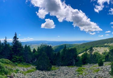 Trail Mountain bike Cubières - TOUR MONT LOZERE - Photo