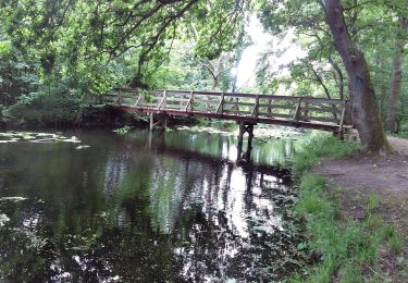 Trail On foot  - Hjertestien, Hindemaj - Photo