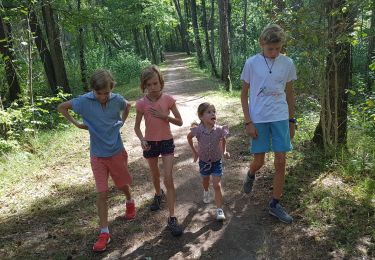 Randonnée Marche Sézanne - Parcours santé Sézanne  - Photo