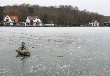 Tocht Stappen Rixensart - Rosières Lac - Photo