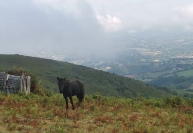 Trail Walking Ainhoa - Boucle  Gr10 - Photo
