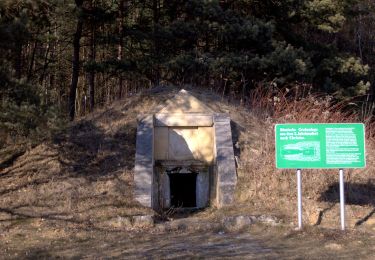 Randonnée A pied Sankt Johann in der Haide - Kalorienweg - Photo