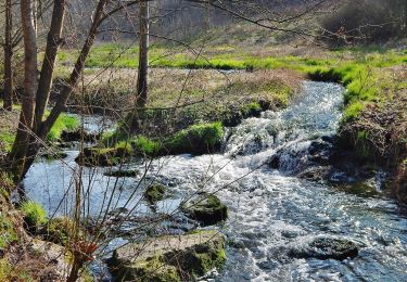 Randonnée A pied Markgröningen - DE-SAV Roter Punkt, von - nach? - Photo