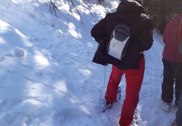 Tocht Sneeuwschoenen Chamrousse - canyon saliniere court - Photo