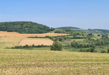 Tour Wandern Leyr - leyr - Photo