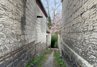 Tocht Noords wandelen Mont-Saint-Éloi - Les trois abbayes  - Photo
