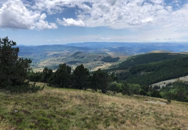 Tocht Stappen Mont Lozère et Goulet - Mont Lozère, col Finiels  - Photo