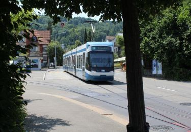 Randonnée A pied Schlieren - Urdorf Station - Feldmoos - Photo