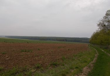 Tour Zu Fuß Großkirchen - Z+ (Nagyrécse ) - Photo