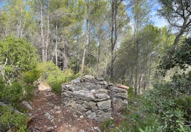 Trail Walking La Cadière-d'Azur - LA CADIERE  - Photo