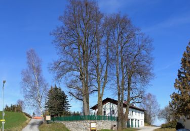 Randonnée A pied Gemeinde Schönbach - Lohnbachfallweg kurz - Photo