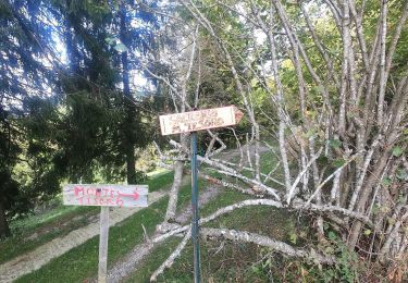 Trail On foot Torre de' Busi - Sentiero 823: Torre de' Busi - Colle di Sogno - Valcava - Photo