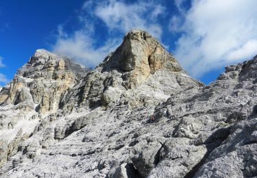 Trail On foot Cortina d'Ampezzo - IT-412 - Photo