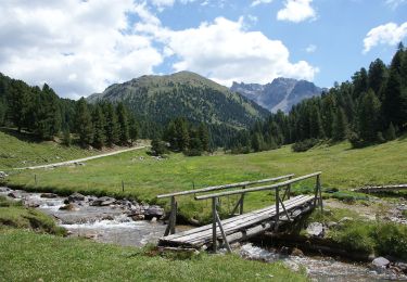 Trail On foot Scuol - Plan d'Immez - Cruschetta - Photo