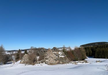 Percorso Sci alpinismo Saint-Front - 2022 01 RANDONNÉE EN MÉZENC : descente vers Estaples puis La Croix Pecata, roche pointu, les dents du diable, traversée du Lignon. - Photo