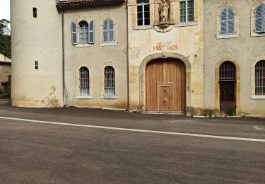 Tocht Stappen Méounes-lès-Montrieux - Méounes les montrieux- les tirassades-le Gapeau - Photo