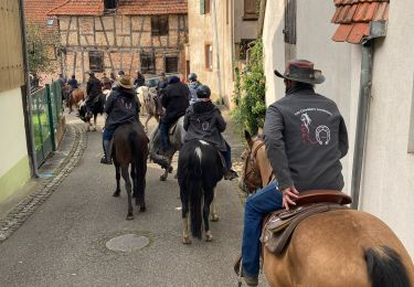 Trail Horseback riding Bouxwiller - rando acpl chez sandra 12 10 24 - Photo