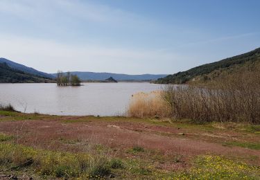 Tour Nordic Walking Le Puech - Les Vailhés - Celles autour du Cébérou - Photo