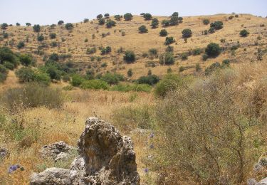 Tour Zu Fuß מועצה אזורית גליל עליון - שביל נחל עכברה - Photo