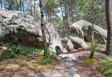Trail Walking Fontainebleau - Fontainebleau sentier Denecourt 7-8 8-8 - Photo