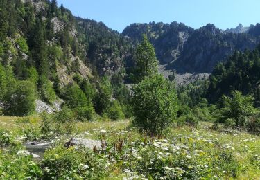 Tour Wandern Saint-Martin-d'Uriage - cascade de l'oursiere 2019 - Photo