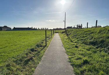 Randonnée Marche Lierde - Sint-Maria-Lierde 22,1 km - Photo