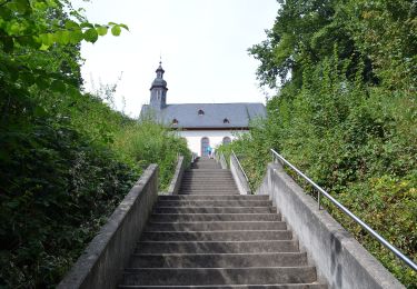 Trail On foot Hofheim am Taunus - Historischer Rundweg - Photo