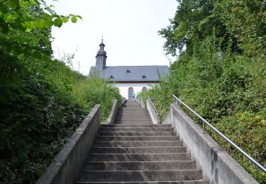 Randonnée A pied Hofheim am Taunus - Historischer Rundweg - Photo