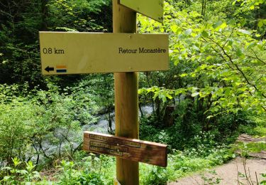 Trail Walking Consolation-Maisonnettes - reco 41 - Photo