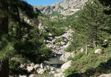 Randonnée Marche Corte - boucle lac melo - Photo