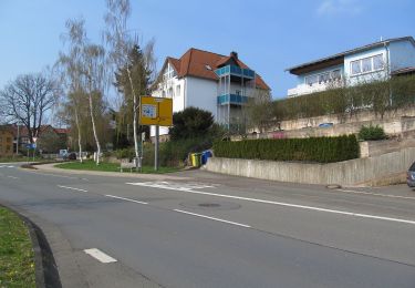 Randonnée A pied Frankenberg - Weiße Berge - Photo