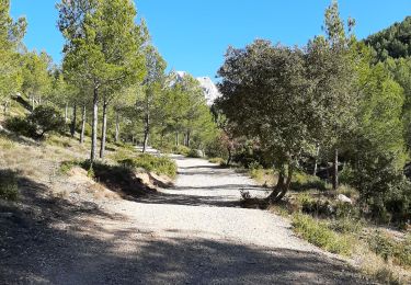 Trail Walking Beaurecueil - Cezanne - Photo