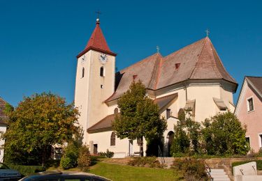 Excursión A pie Gemeinde Sankt Peter in der Au - Rundweg Kürnberg Nord - Photo