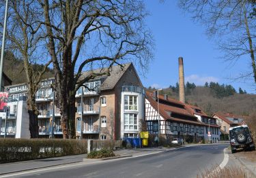 Tour Zu Fuß Hofheim am Taunus - Rundwanderweg Eichhorn - Photo