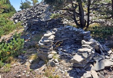 Tocht Stappen Chaudeyrolles - Mont Signon - Photo