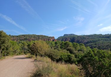 Randonnée Marche Roquebrune-sur-Argens - Entre La Bouverie et La Lieutenante - Photo