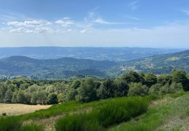 Trail Walking Saint-Anthème - Hautes chaumes jacquerie le coq noir  - Photo